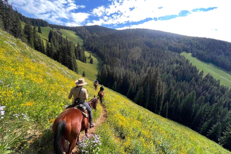 Hut-to-Hut on Horseback: Guide to Bearcat Stables’ Vail to Aspen Ride