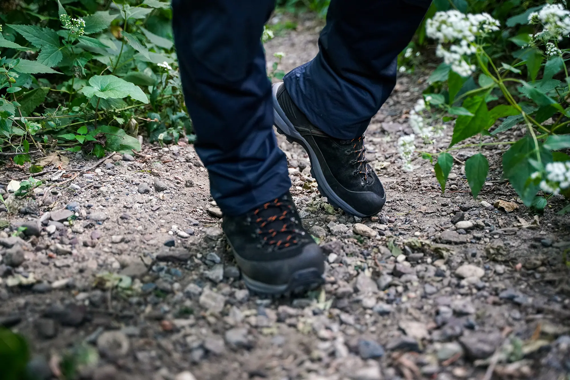 wearing meindl alpine 1.5 light hiker boots in the woods