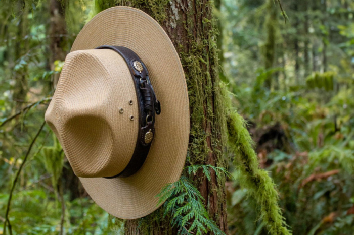 national park service ranger hat on tree