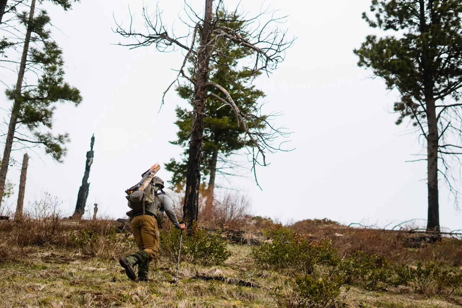 Person hiking uphill with a large backpack and a walking stick in a forested area