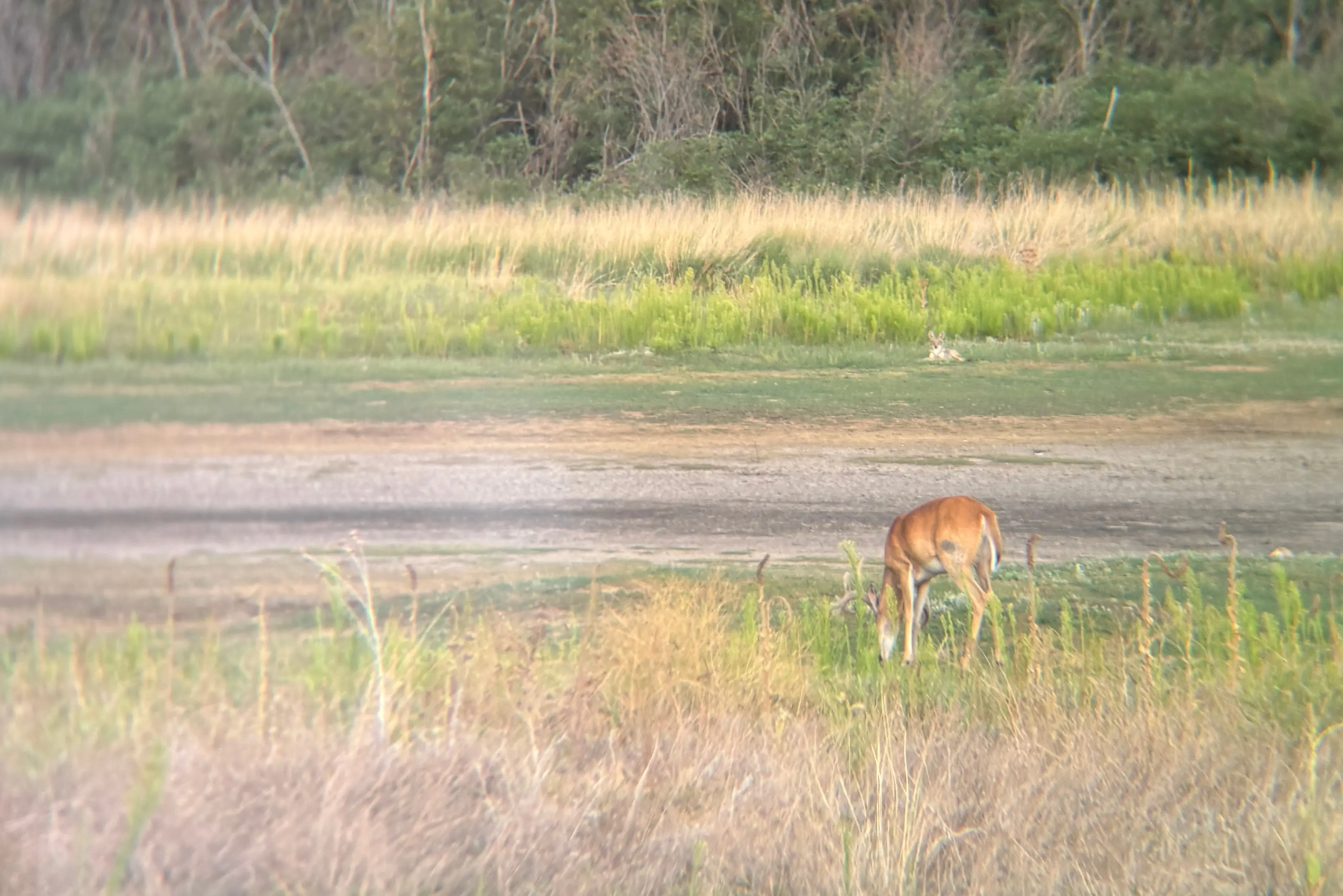 Nocs Field Tube photo with smartphone