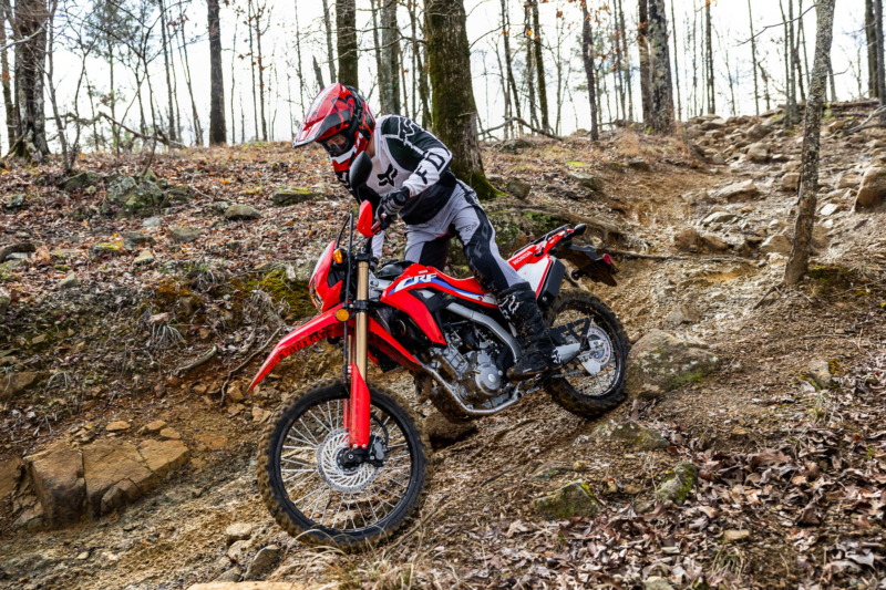 Incredible Bike for the Price: Honda CRF300L Dual-Sport Motorcycle Review