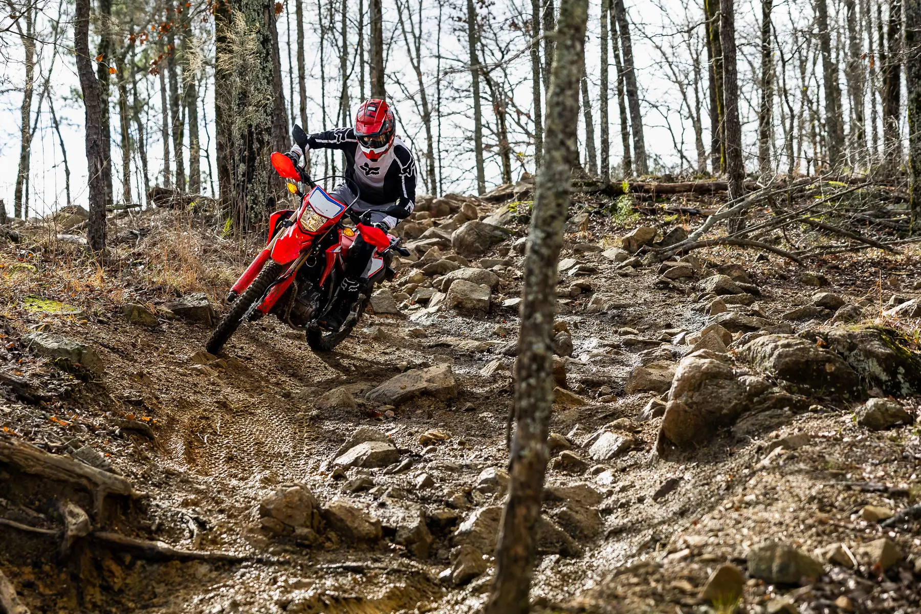 Honda CRF300L in the woods