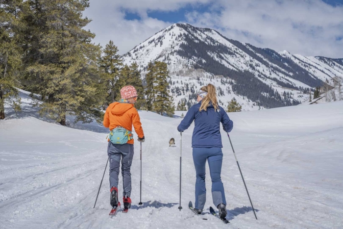 best cross-country skis