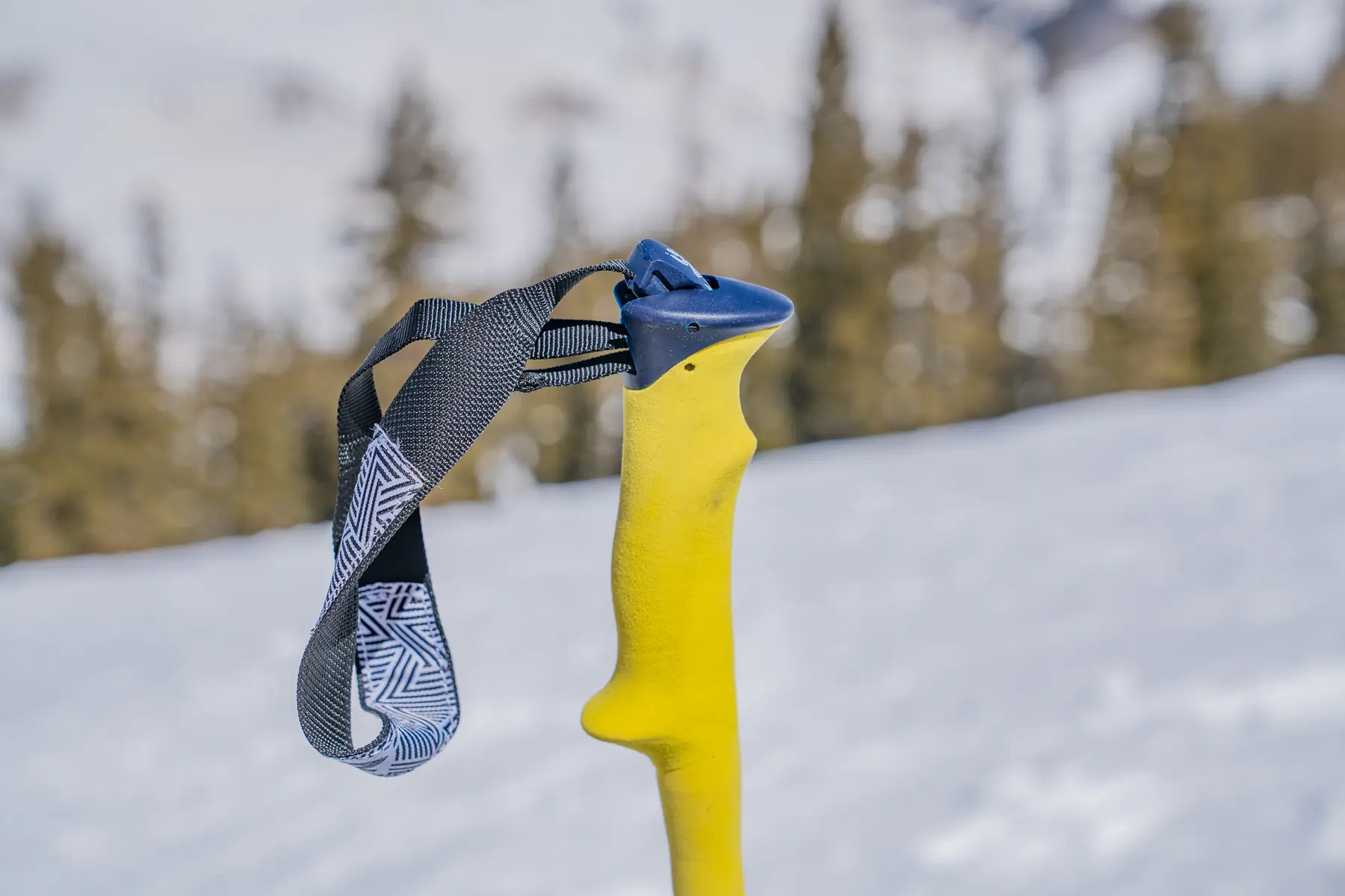 best ski poles