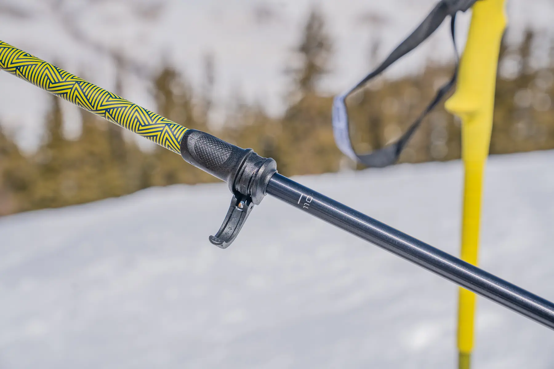best ski poles