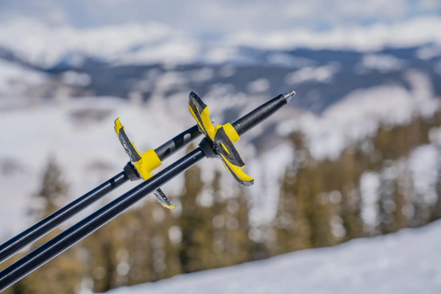 best ski poles