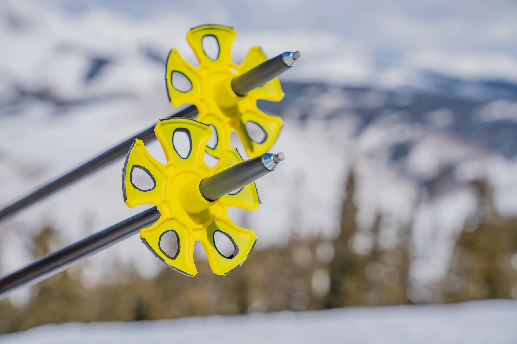 best ski poles