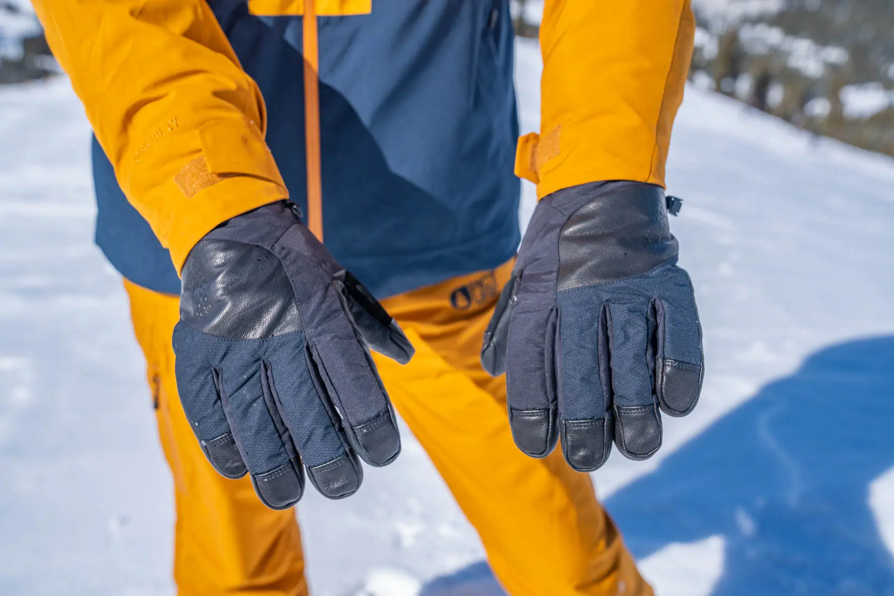 two ski gloves showing the backside of the gloves