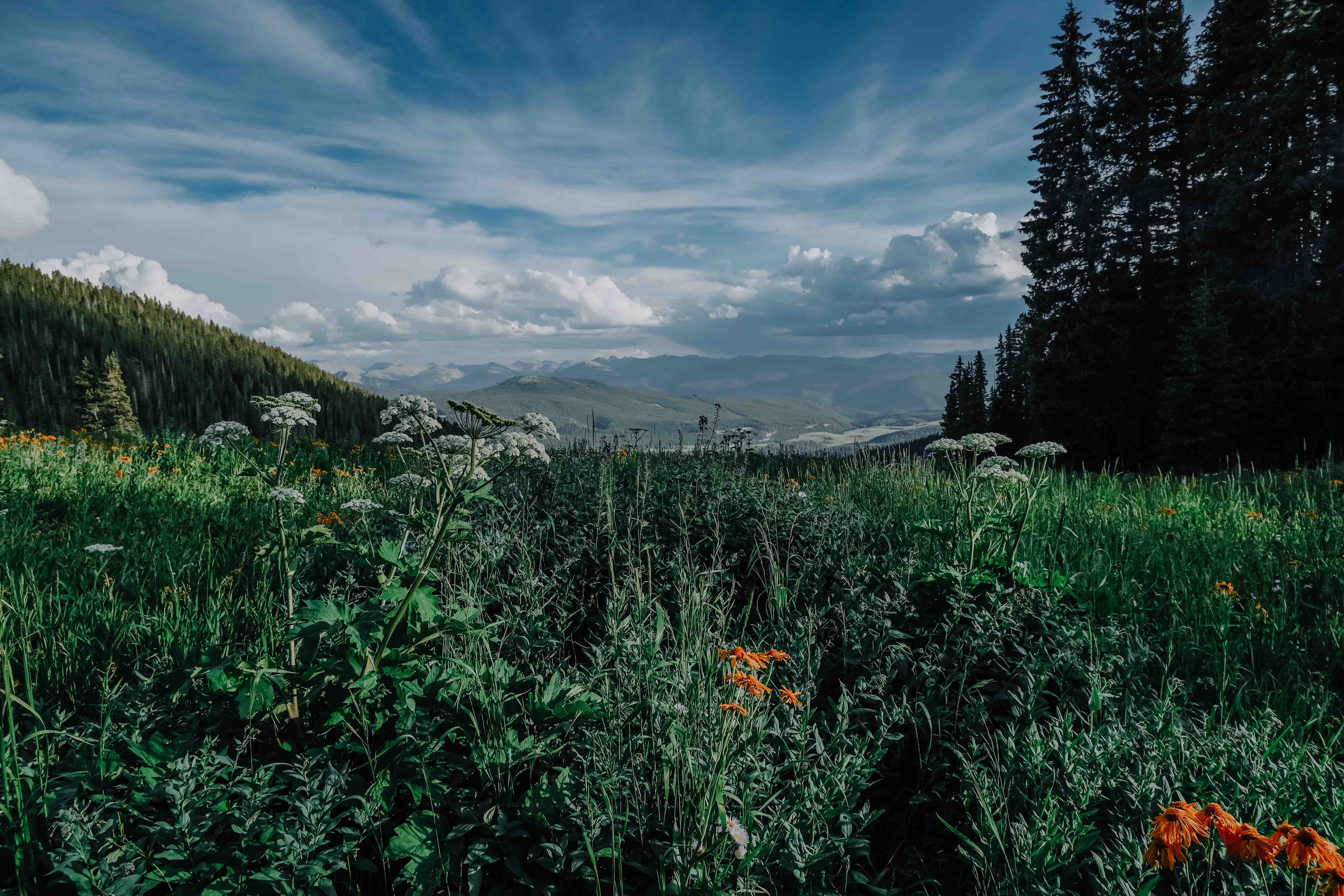 Vail to Aspen hut to hut horseback ride