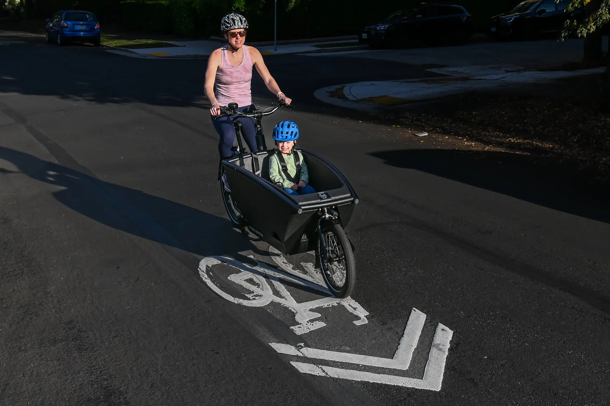 Urban Arrow Family Smart System Cargo Line Bike