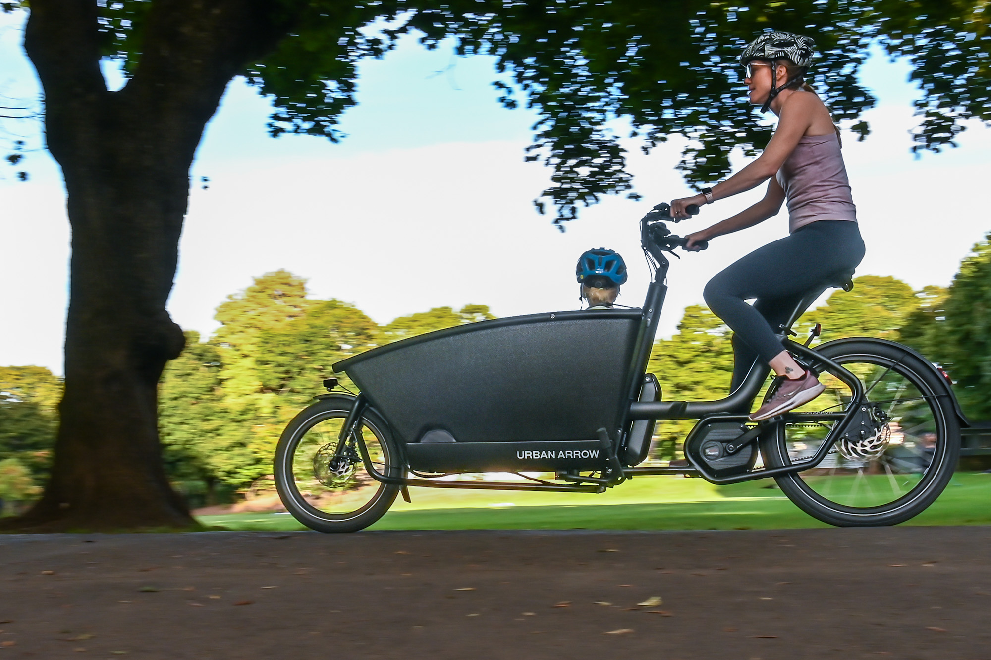 Urban Arrow Family Smart System Cargo Line Bike