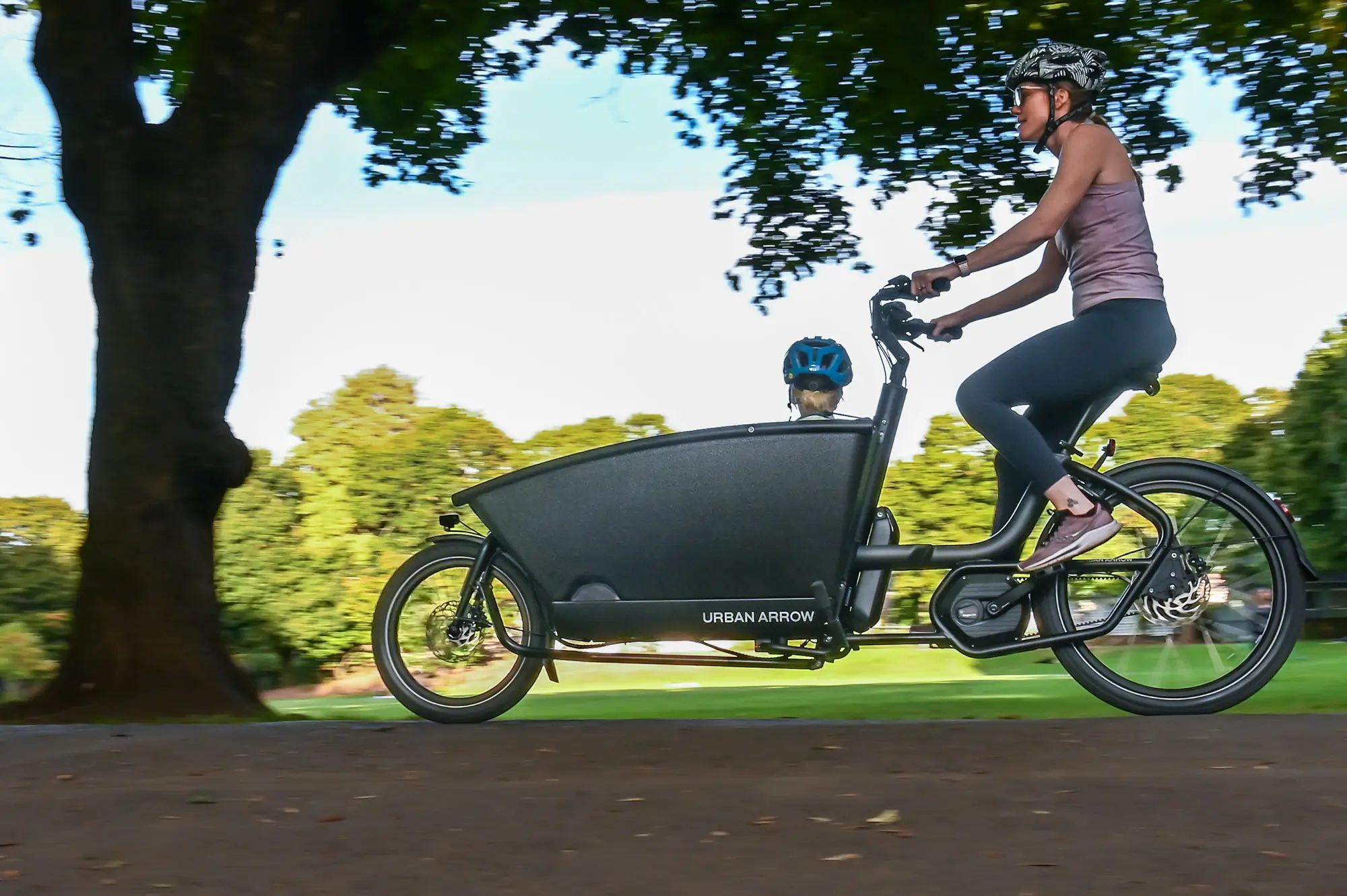 Urban Arrow Family Smart System Cargo Line Bike