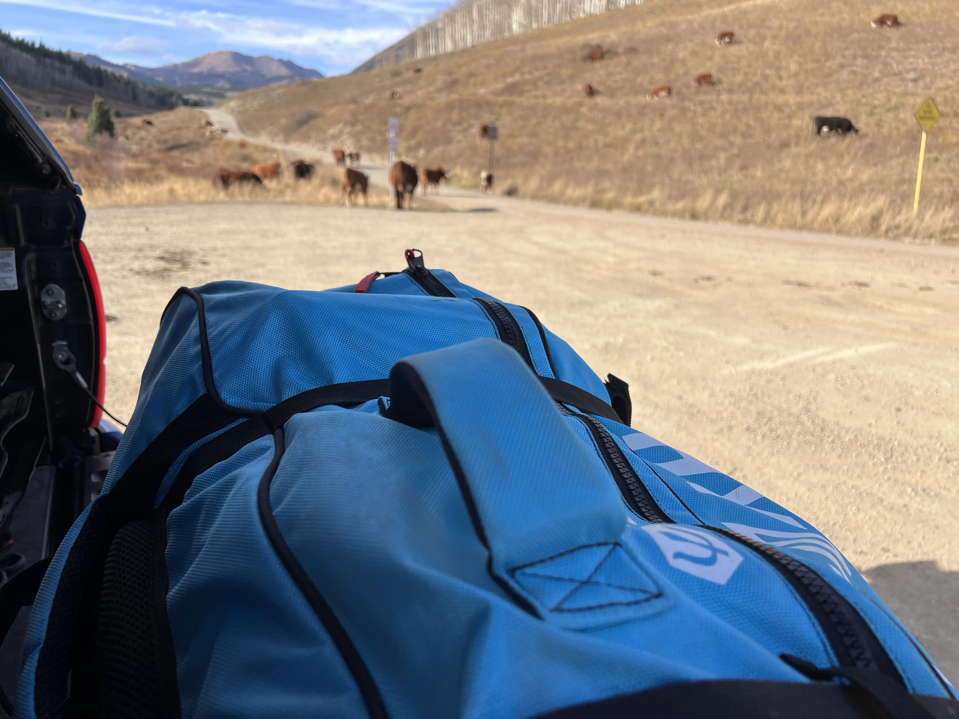 standup paddleboards 