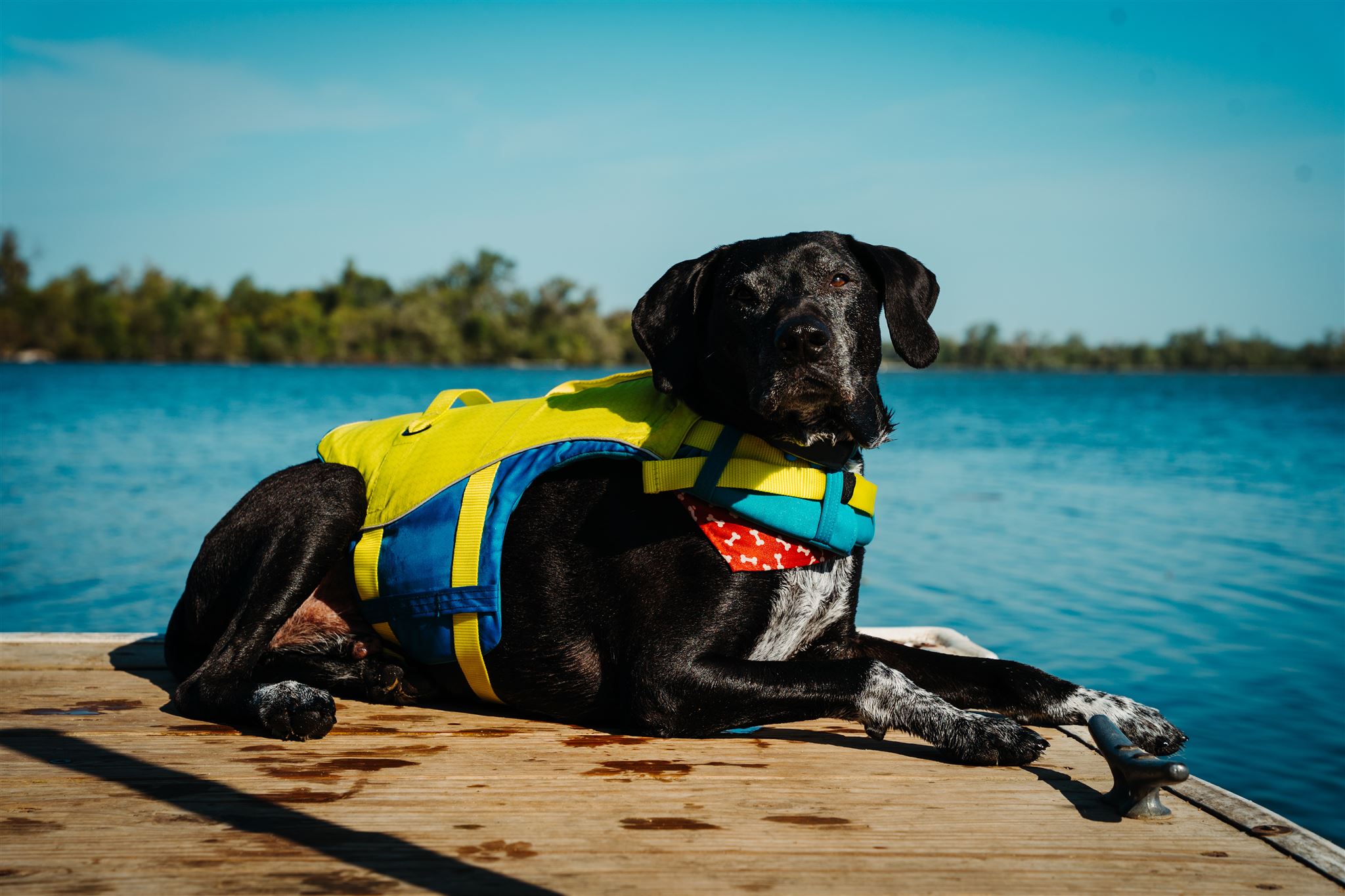 Our best overall pick, the The Kurgo Surf N Turf performs well on all levels; (photo/Ethan Wiese)