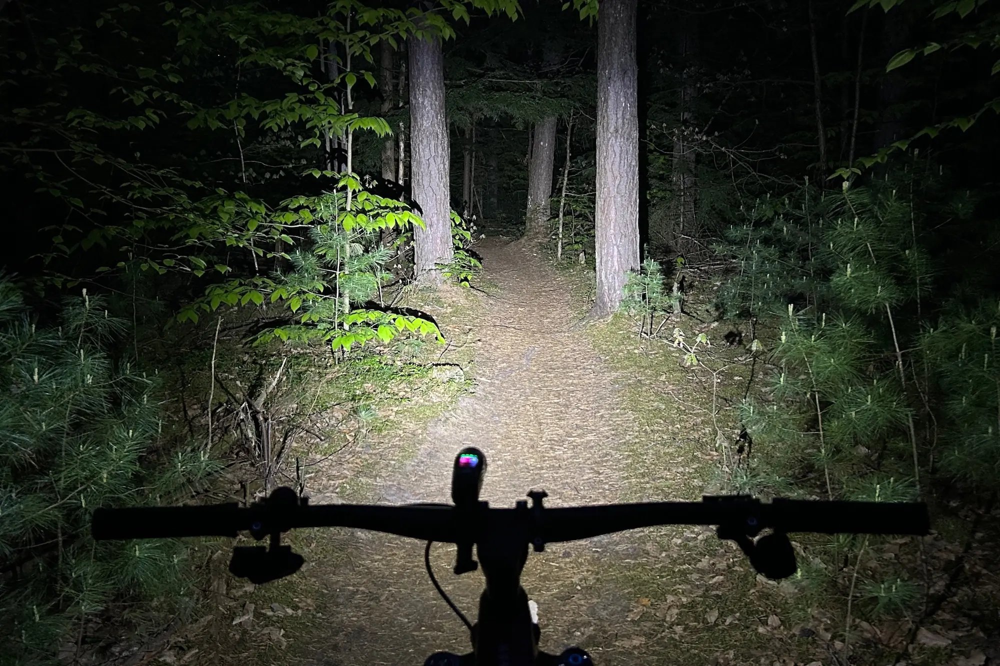 The beam of the Niterider Lumina Pro 1200 lighting up a mountain bike trail at night
