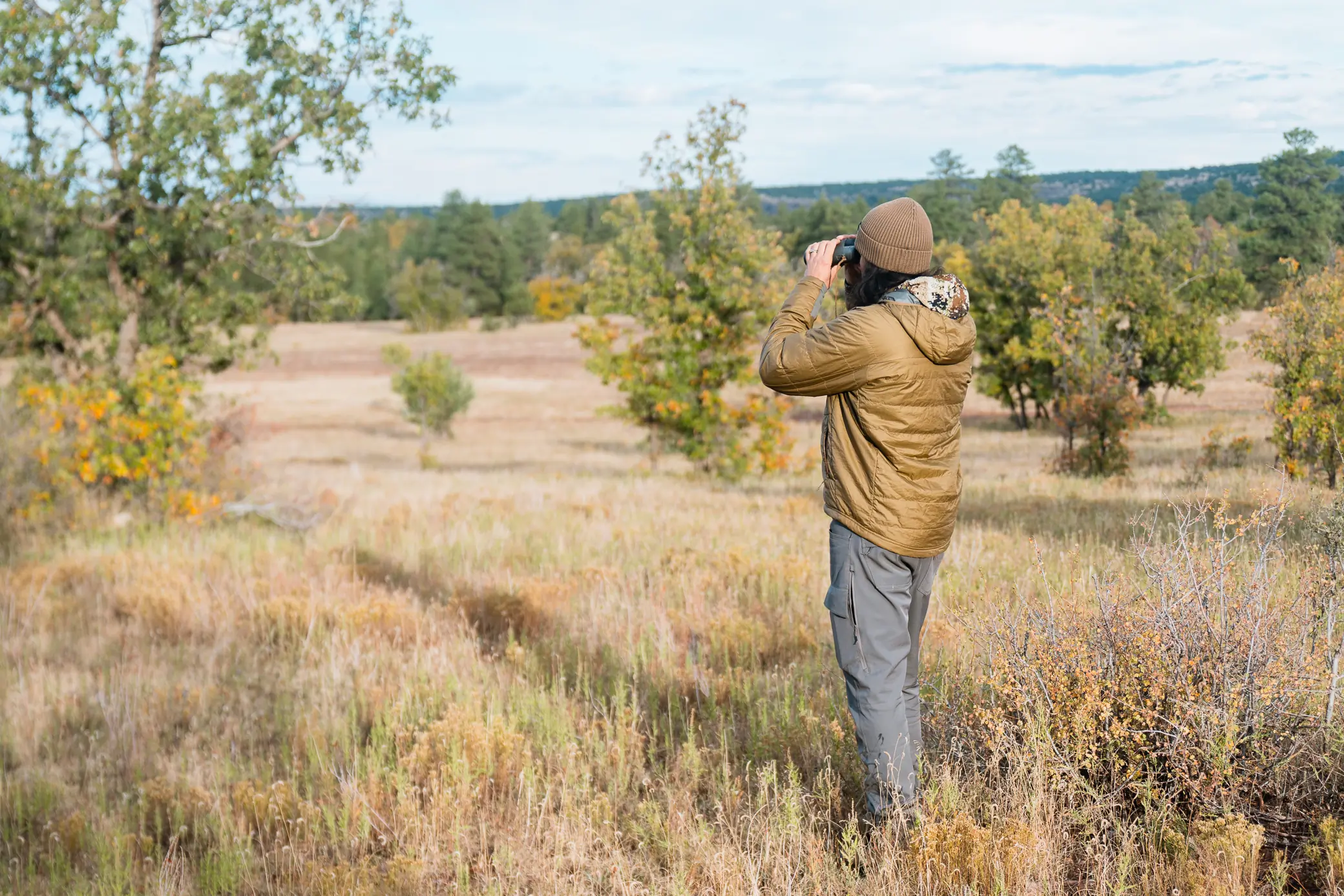 Hunter standing in the field, scanning the landscape through binoculars