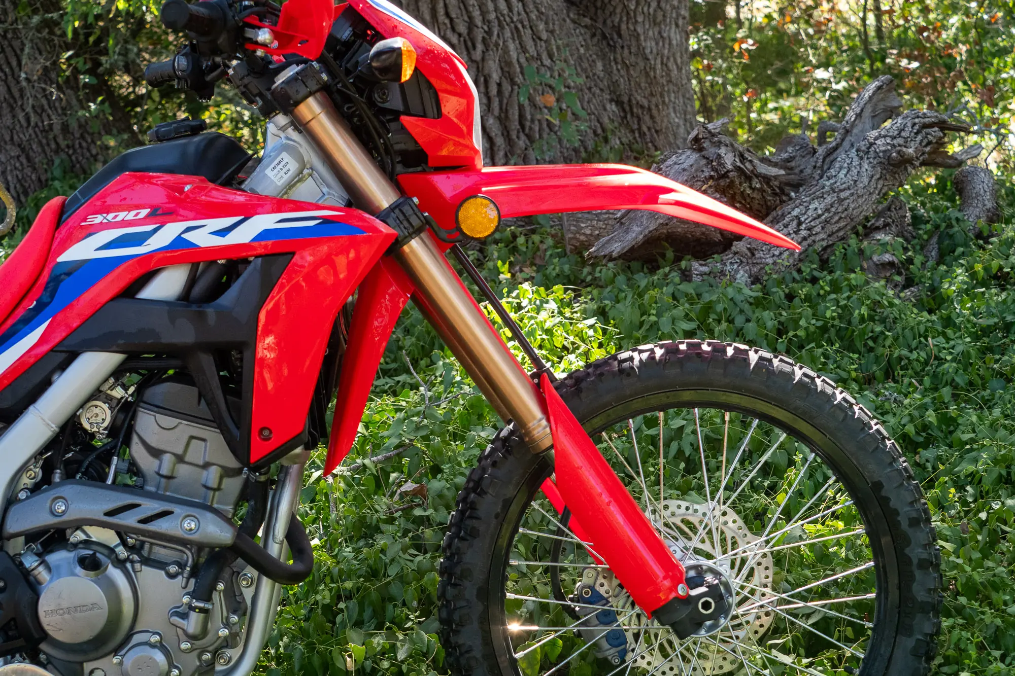 Front end of the 2024 Honda CRF300L