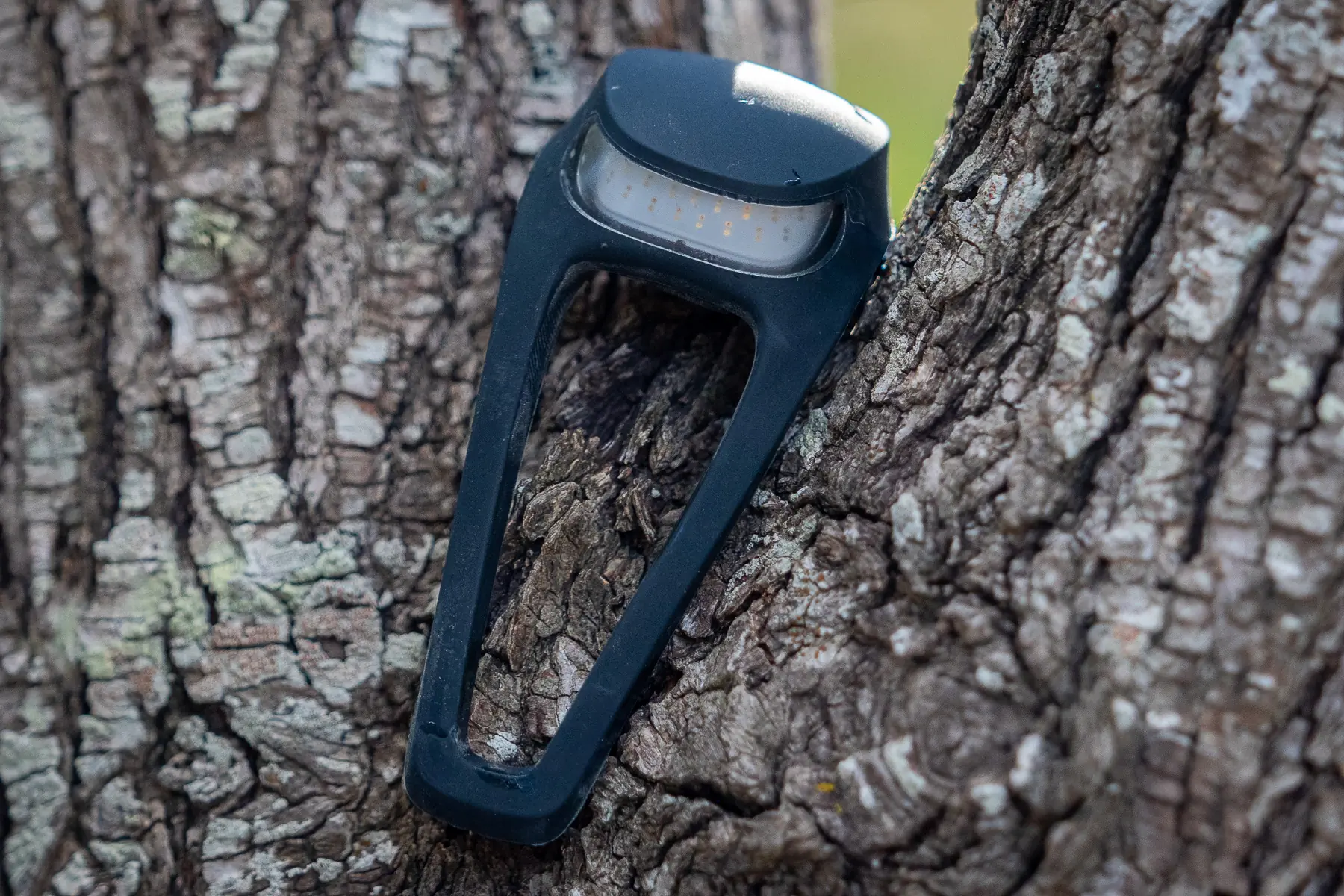 Knog Frog tail light