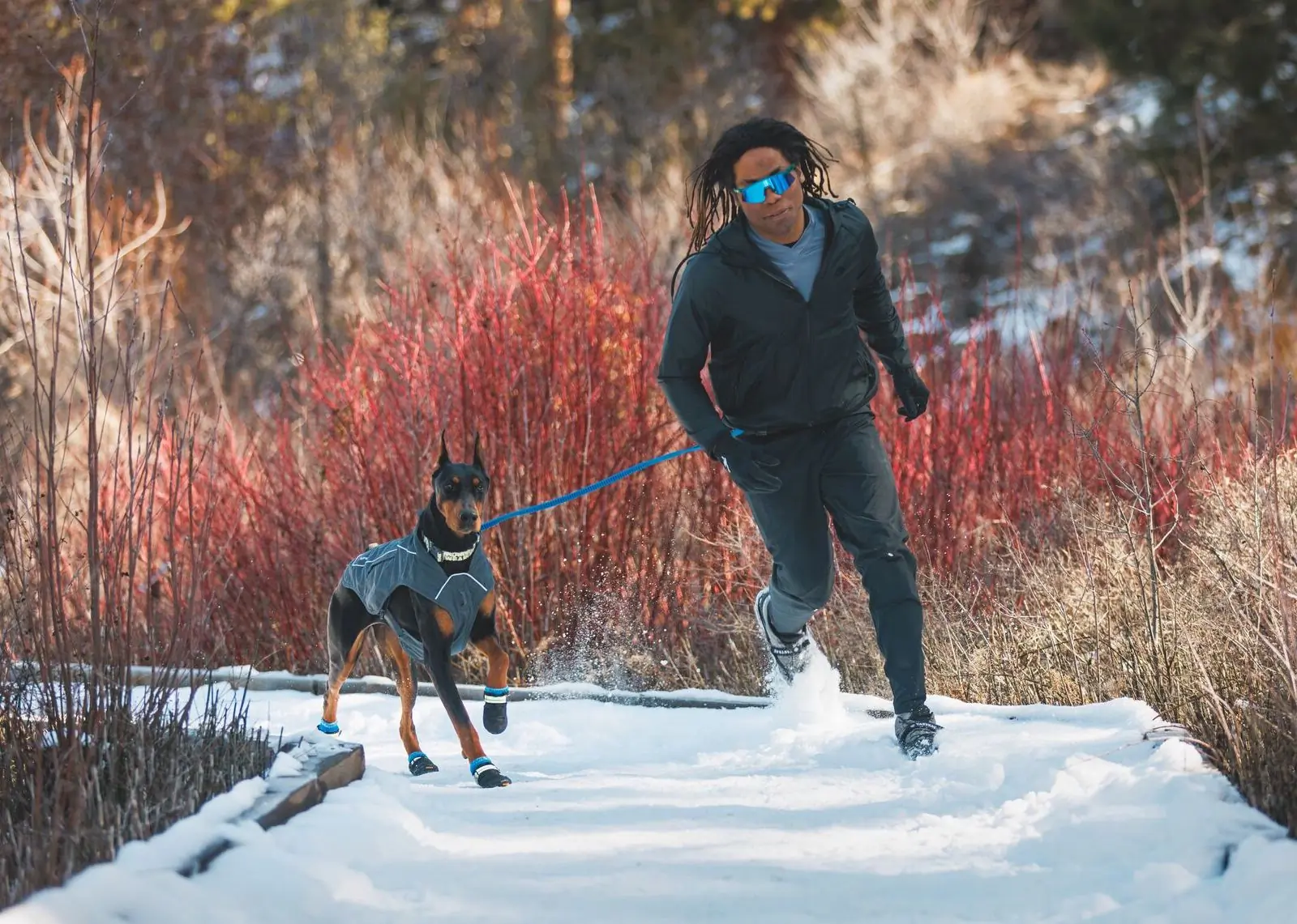 Ruffwear Winter Gear: Keep Your Dog Ready for Any Adventure This Season