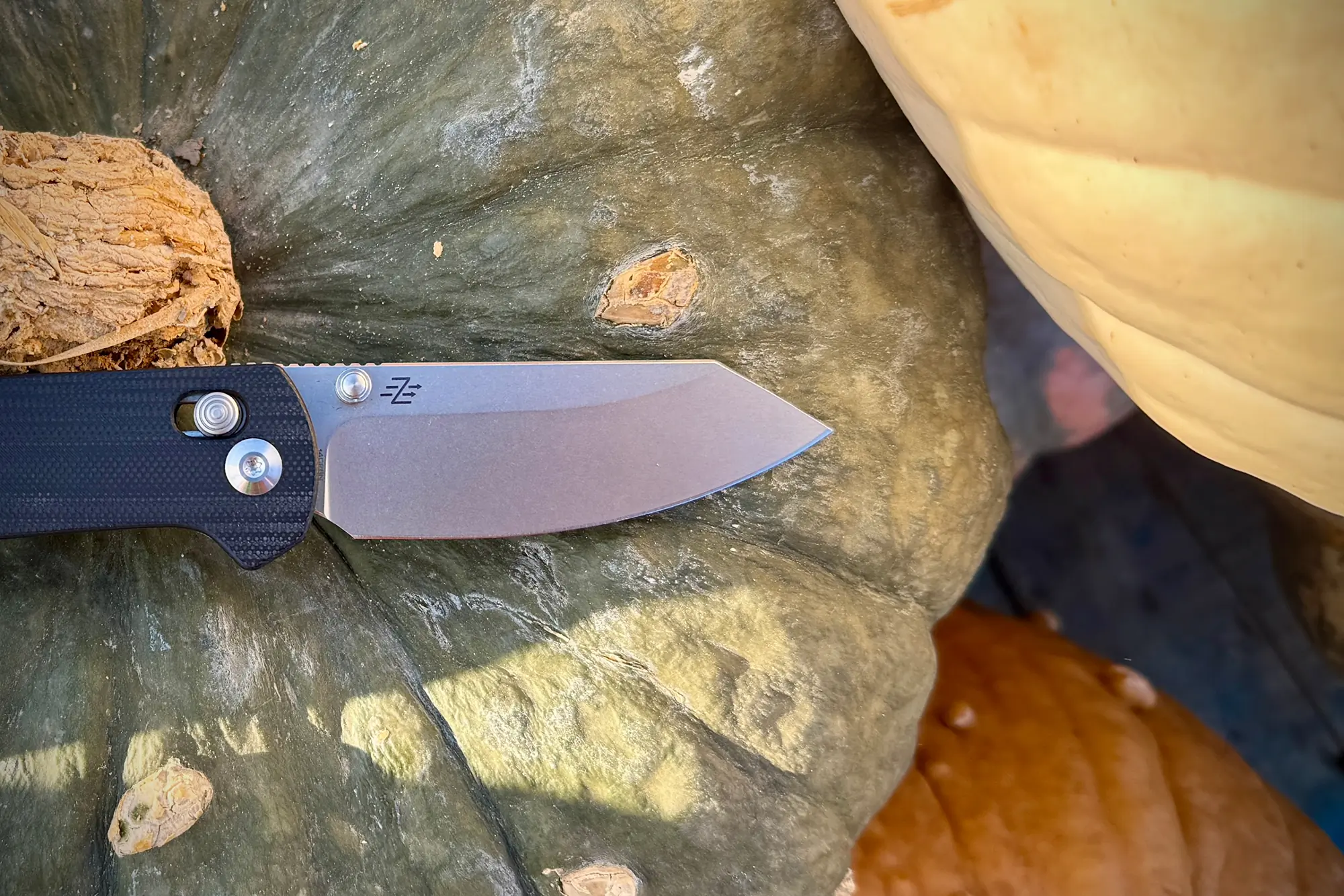 civivi yonder knife and pumpkins close up
