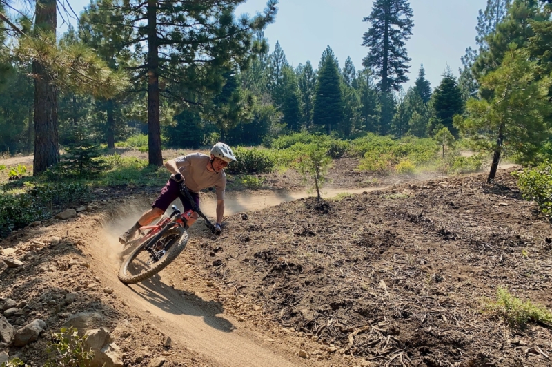 The Best Dropper Posts of 2025