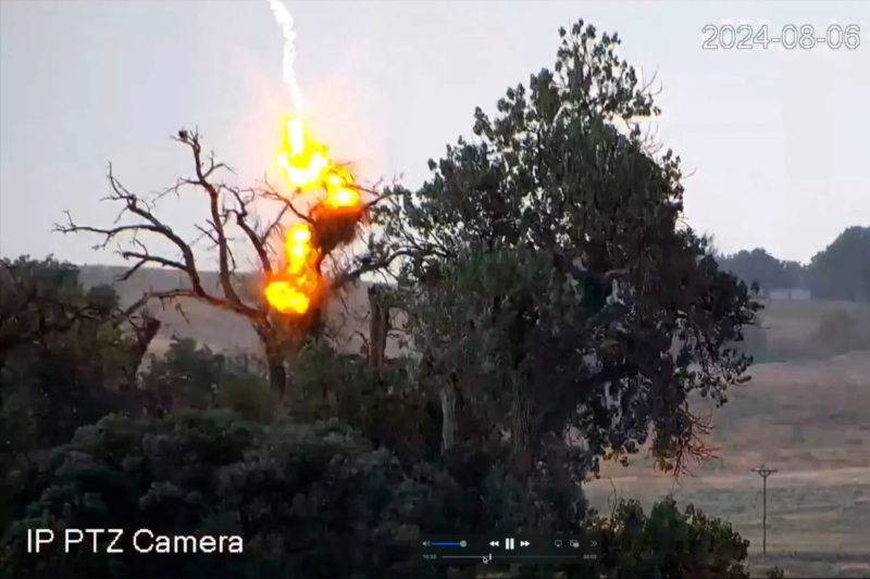 Watch: CO Eagle Couple’s Nest Struck by Lightning, Birds Survive Explosion