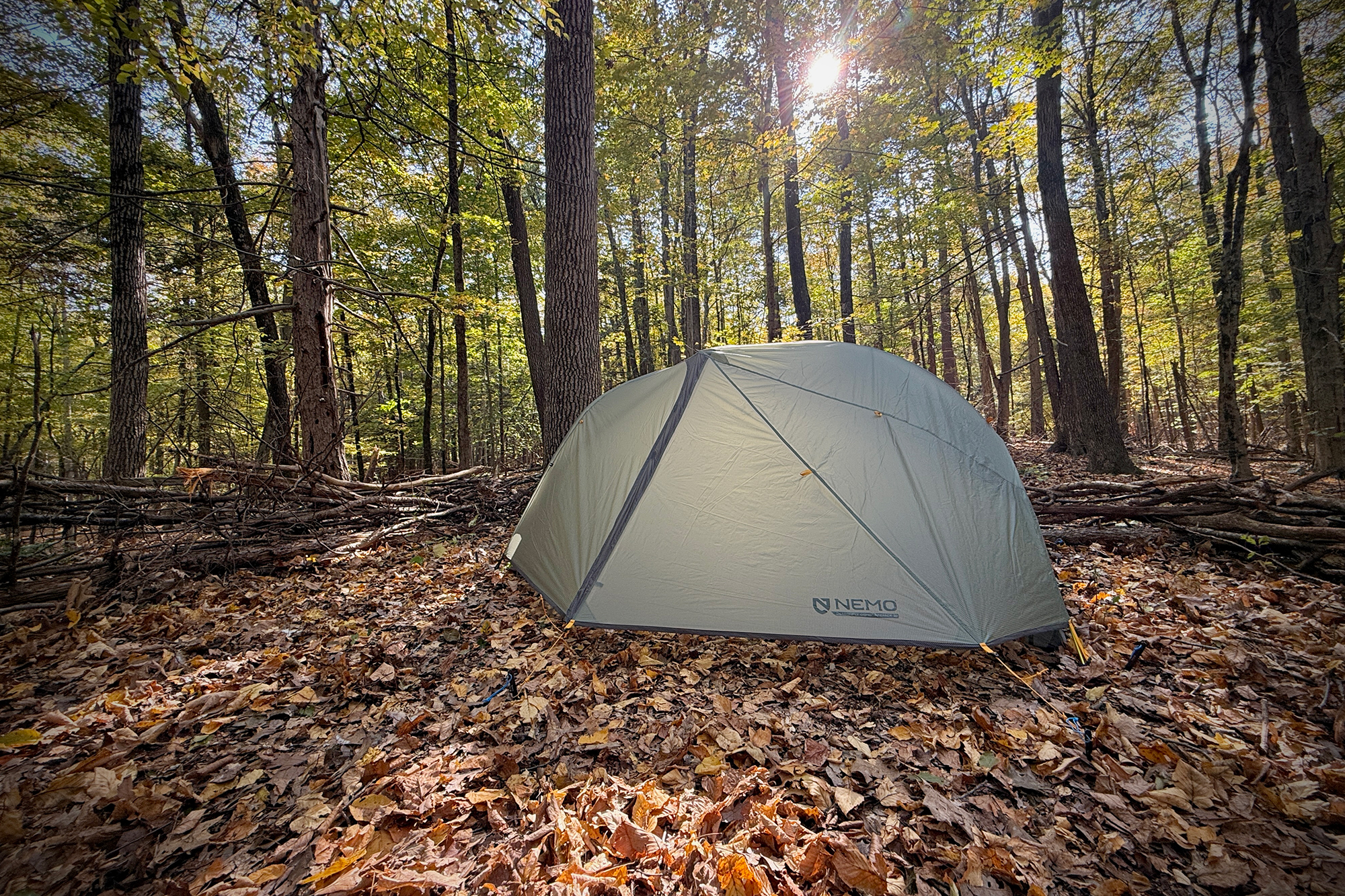 nemo equipment tent in the forest
