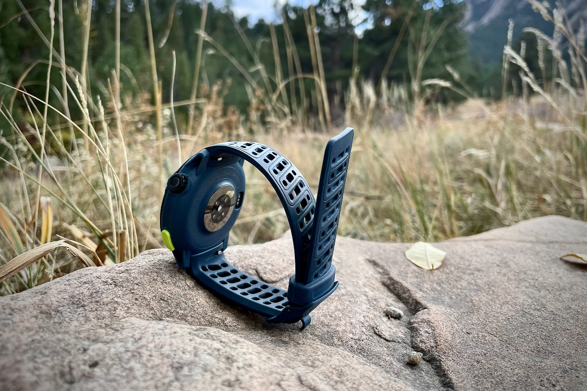 pace pro back view dial, button, sensors