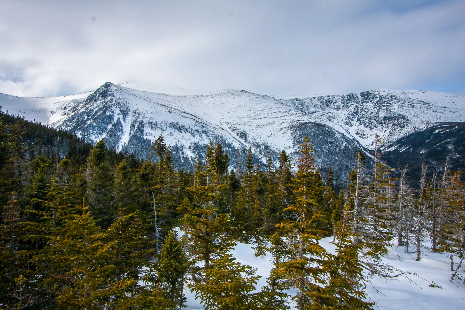 The Rescue That Changed SAR and Prosthetics Forever: Watch ‘109 Below’