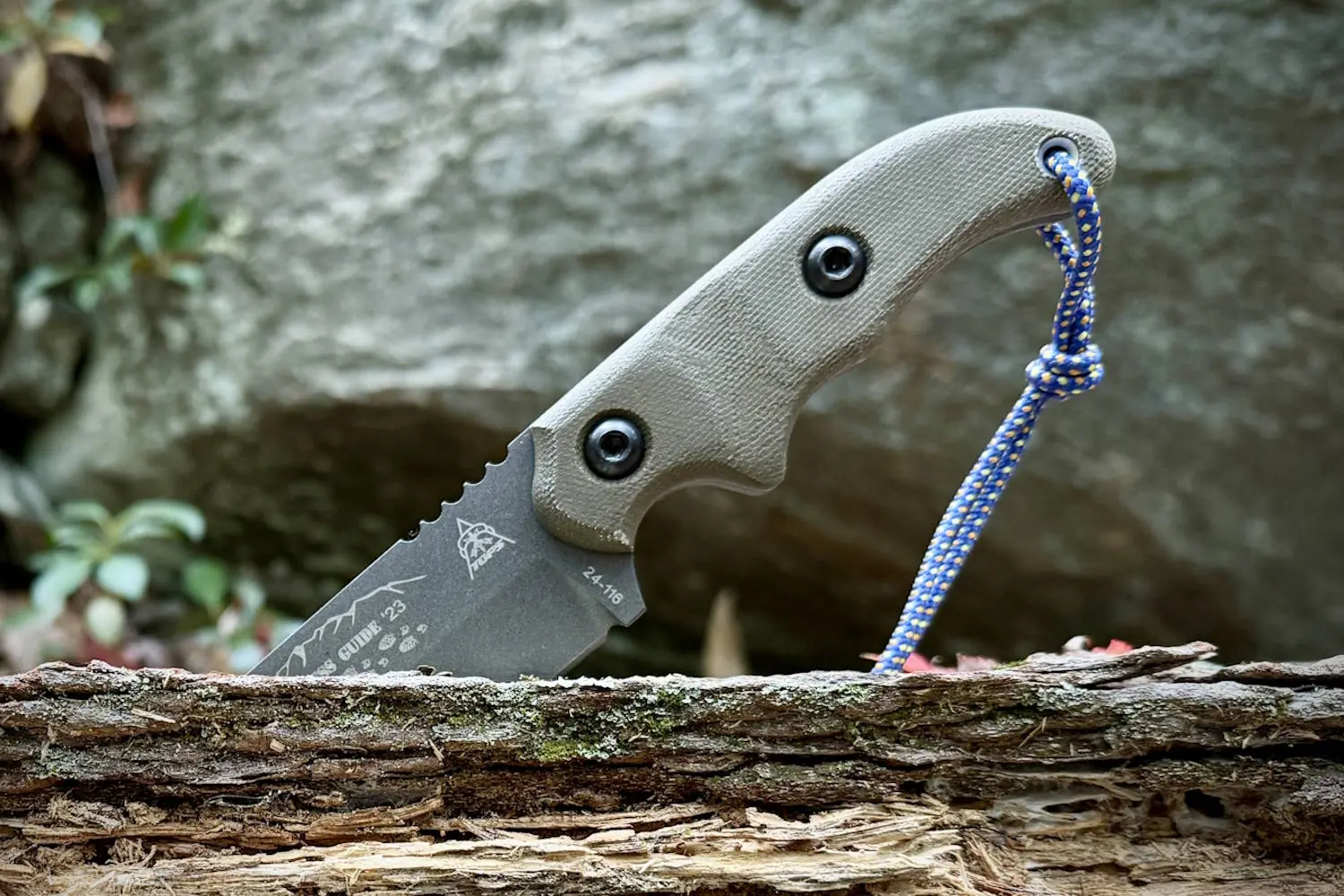 Wilderness Guide ‘23 knife is stuck in a piece of wood