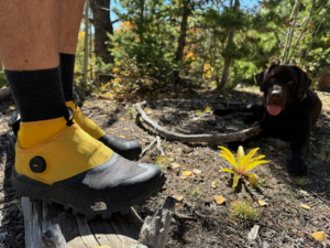 the north face summit series offtrail tr shoes in yellow close up and dog laying down in the background