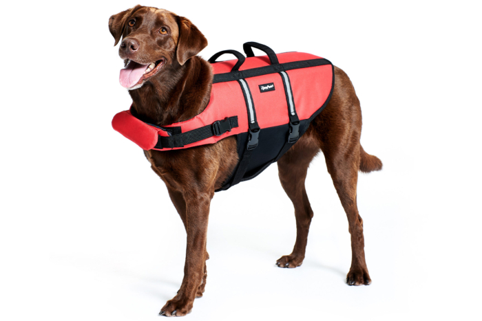 zippypaws adventure life jacket