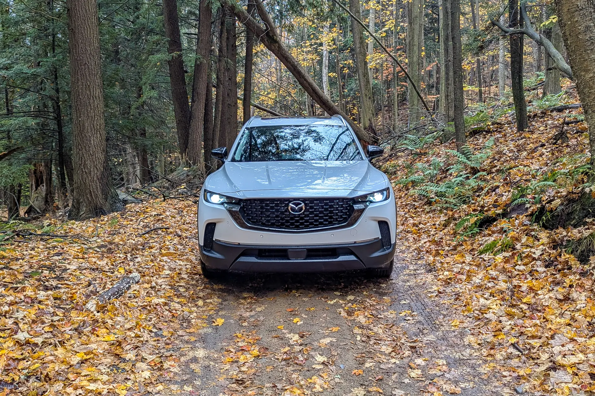 2025 Mazda CX-50 Hybrid