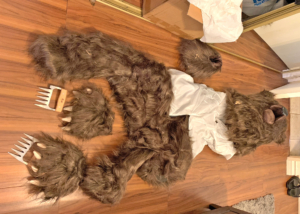 Bear Costume used in Bear Damage Insurance Fraud