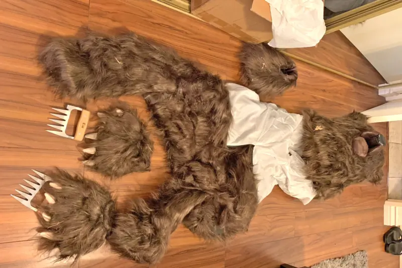 Insurance Fraud: Men Allegedly Donned Bear Costume and Attacked Their Own Cars