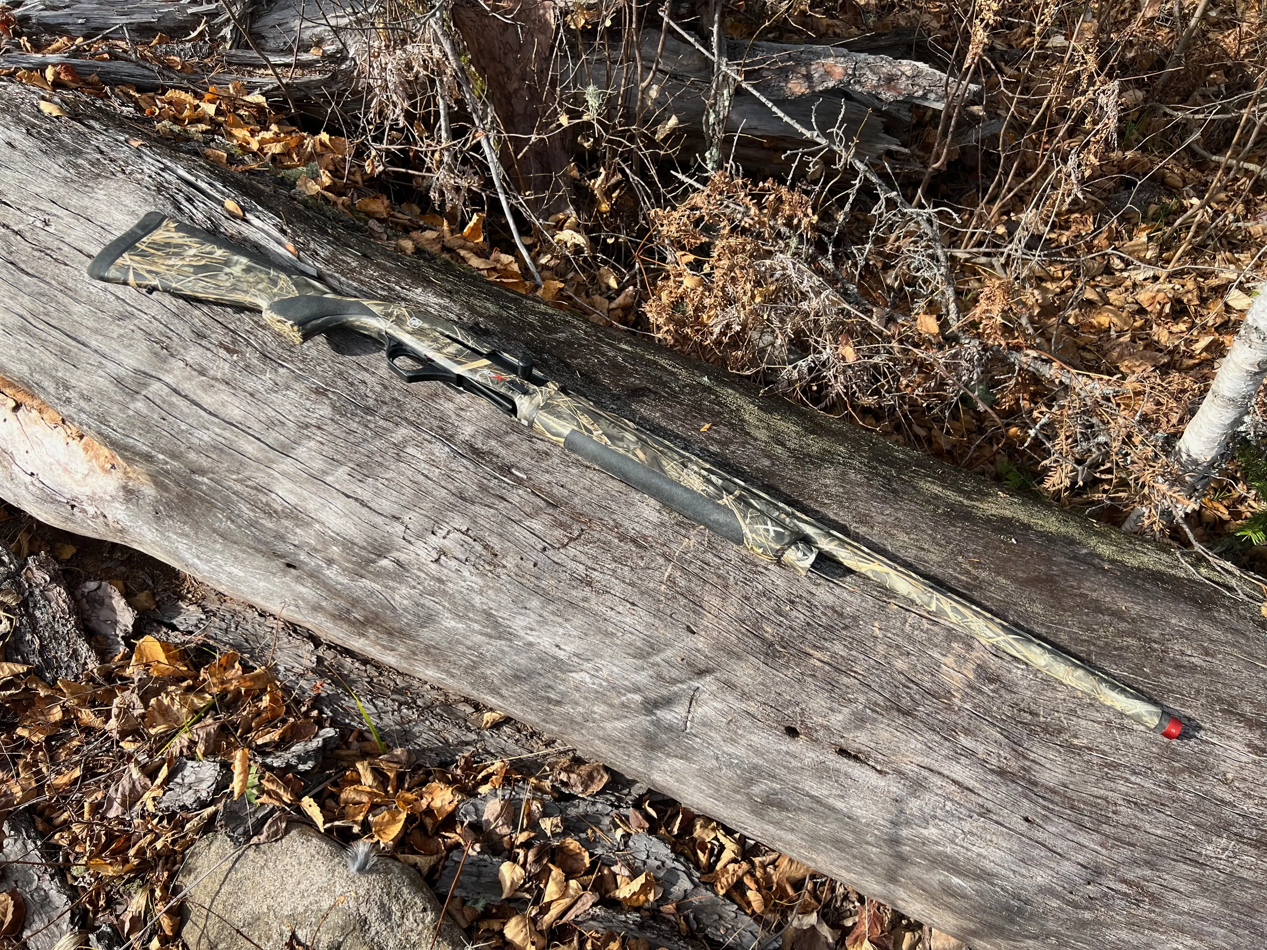 ATA NEOX Shotgun on a log