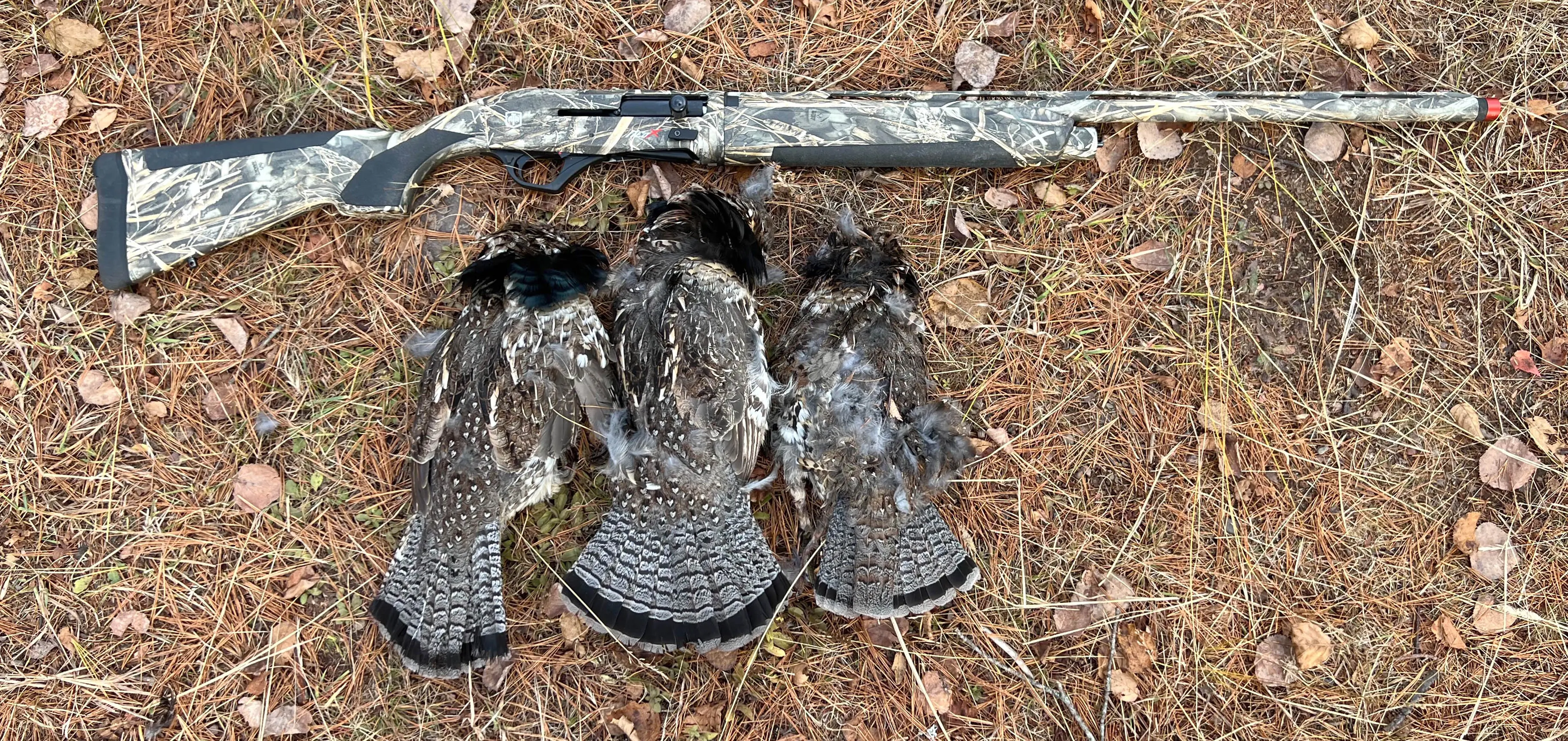 ATA NEO X Max-7 Shotgun Review