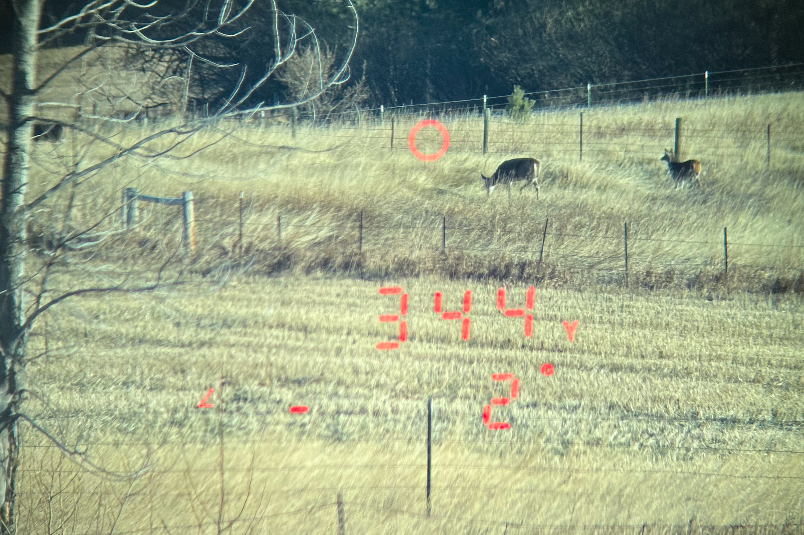 Leupold BX-4 Range HD Display