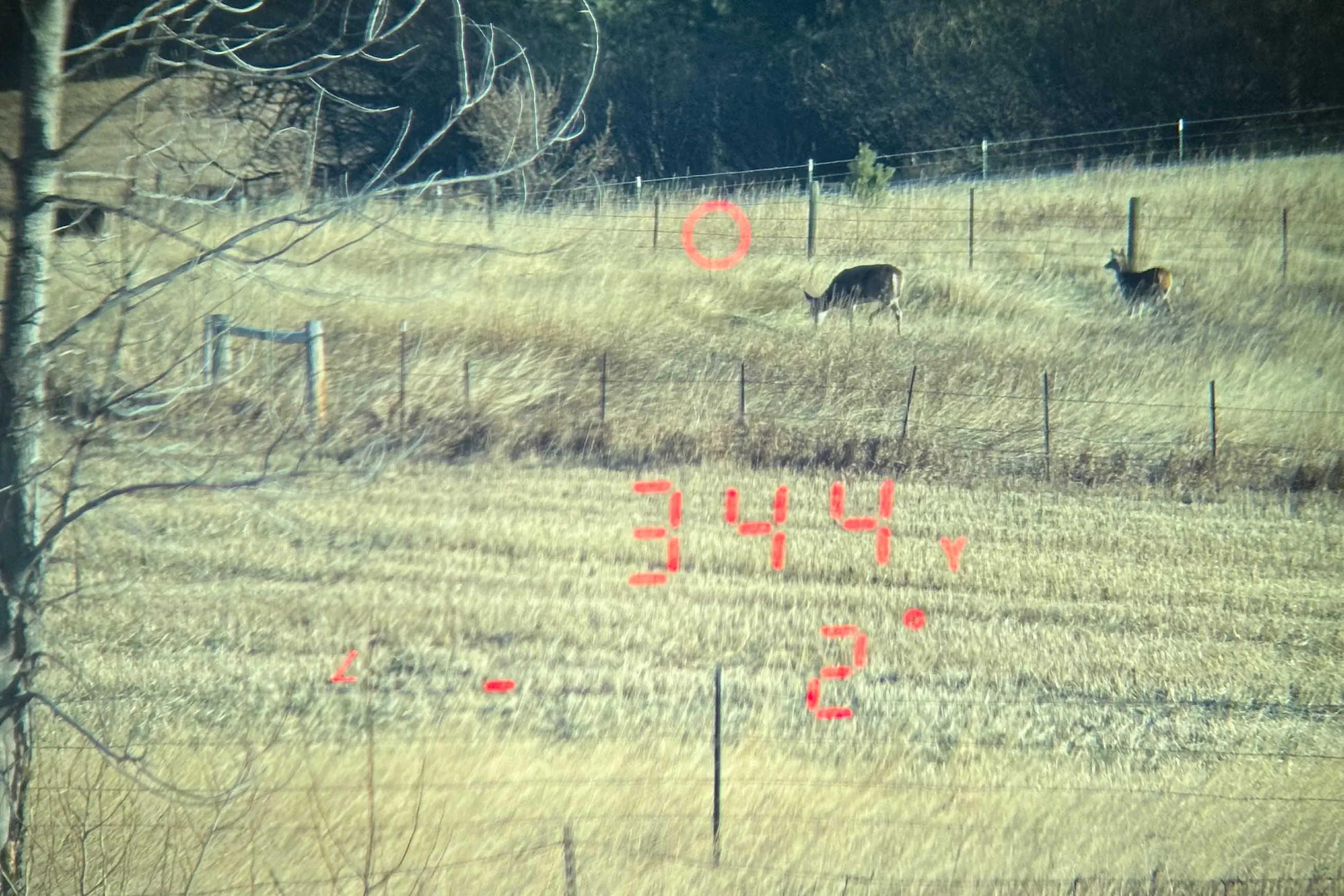 Leupold BX-4 Range HD Display