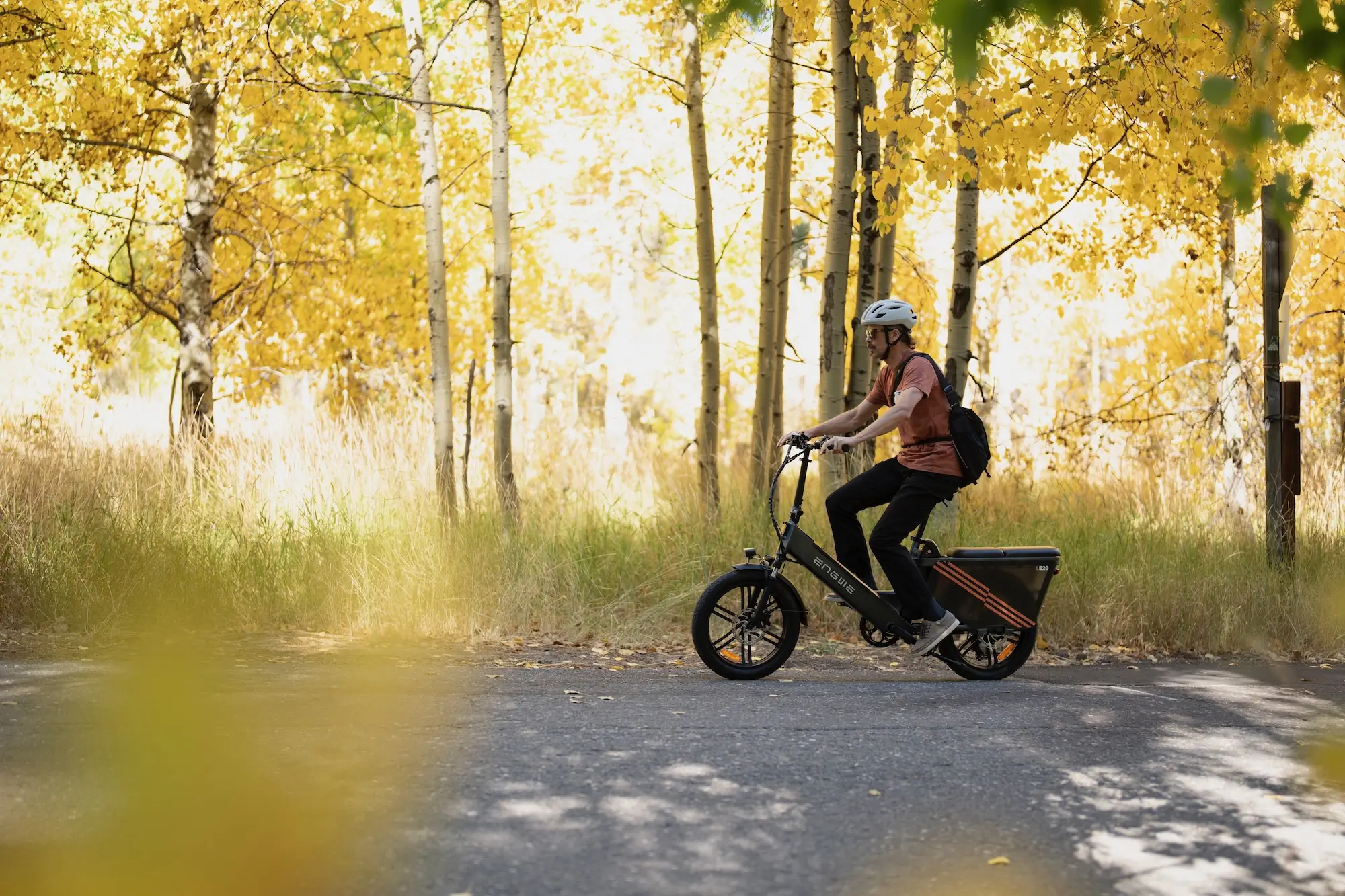 Riding the ENGWE LE20 through an aspen grove with great fall colors