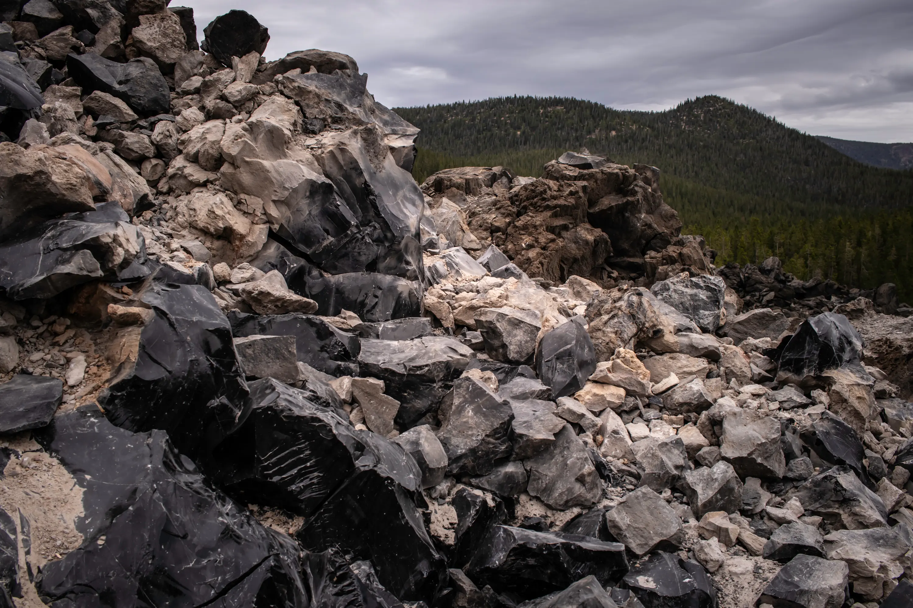 Views from Big Obsidian Flow near Bend, Oregon