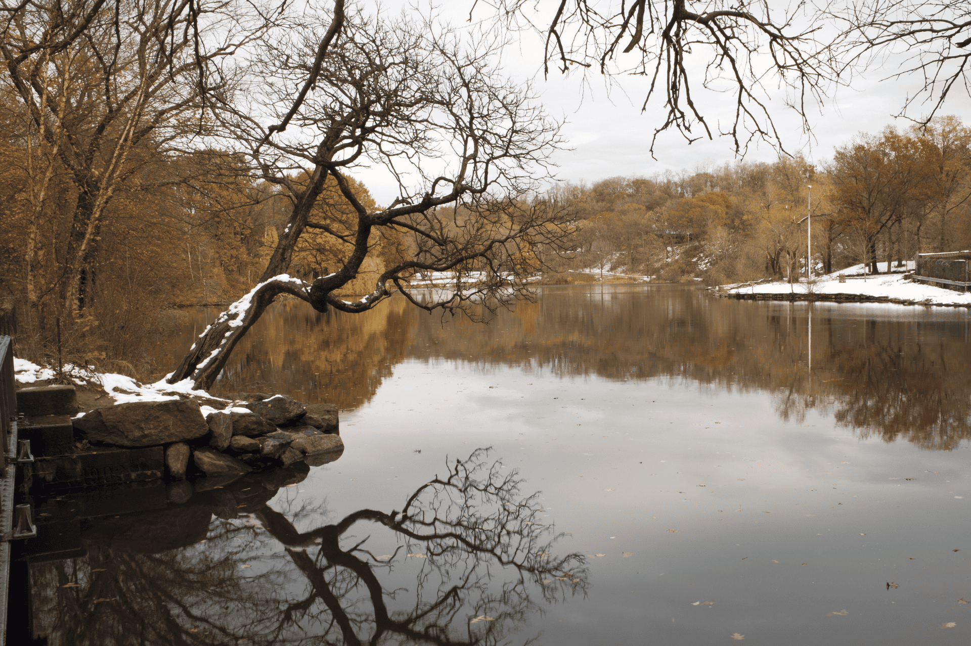 Tree reflection in Van Cortlandt Lake