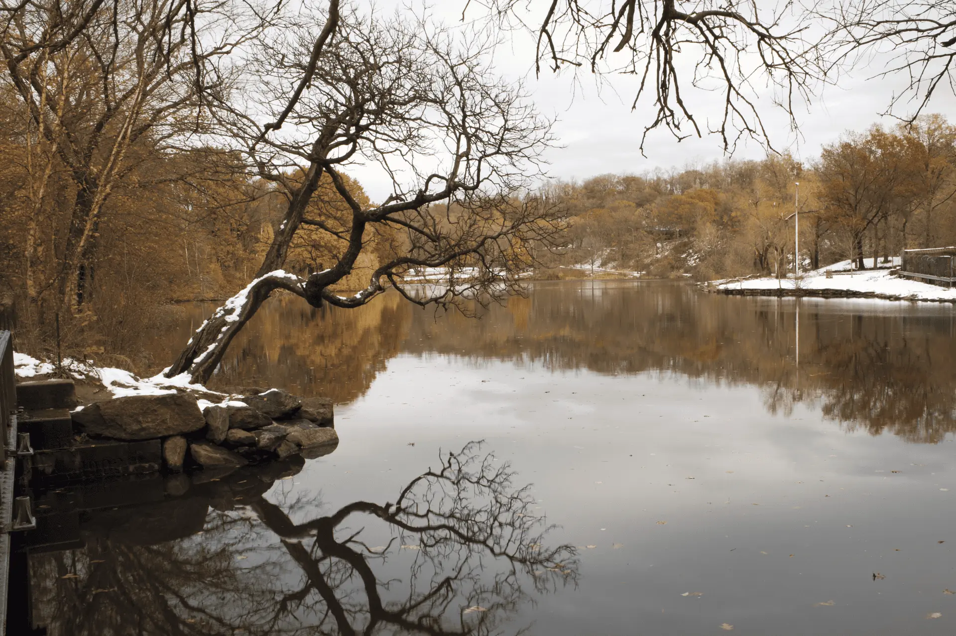 Tree reflection in Van Cortlandt Lake