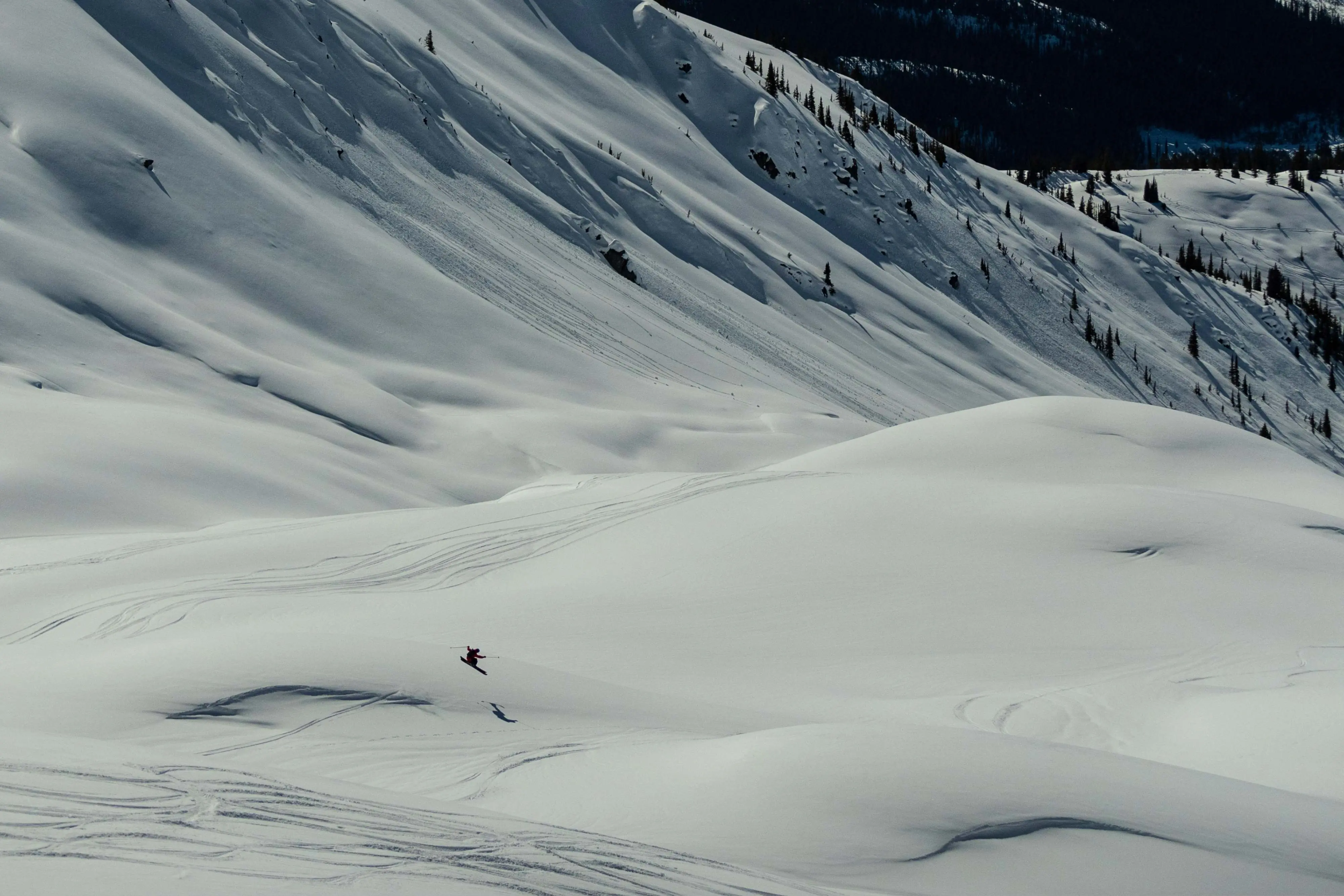 heli ski guide helicopter skiing