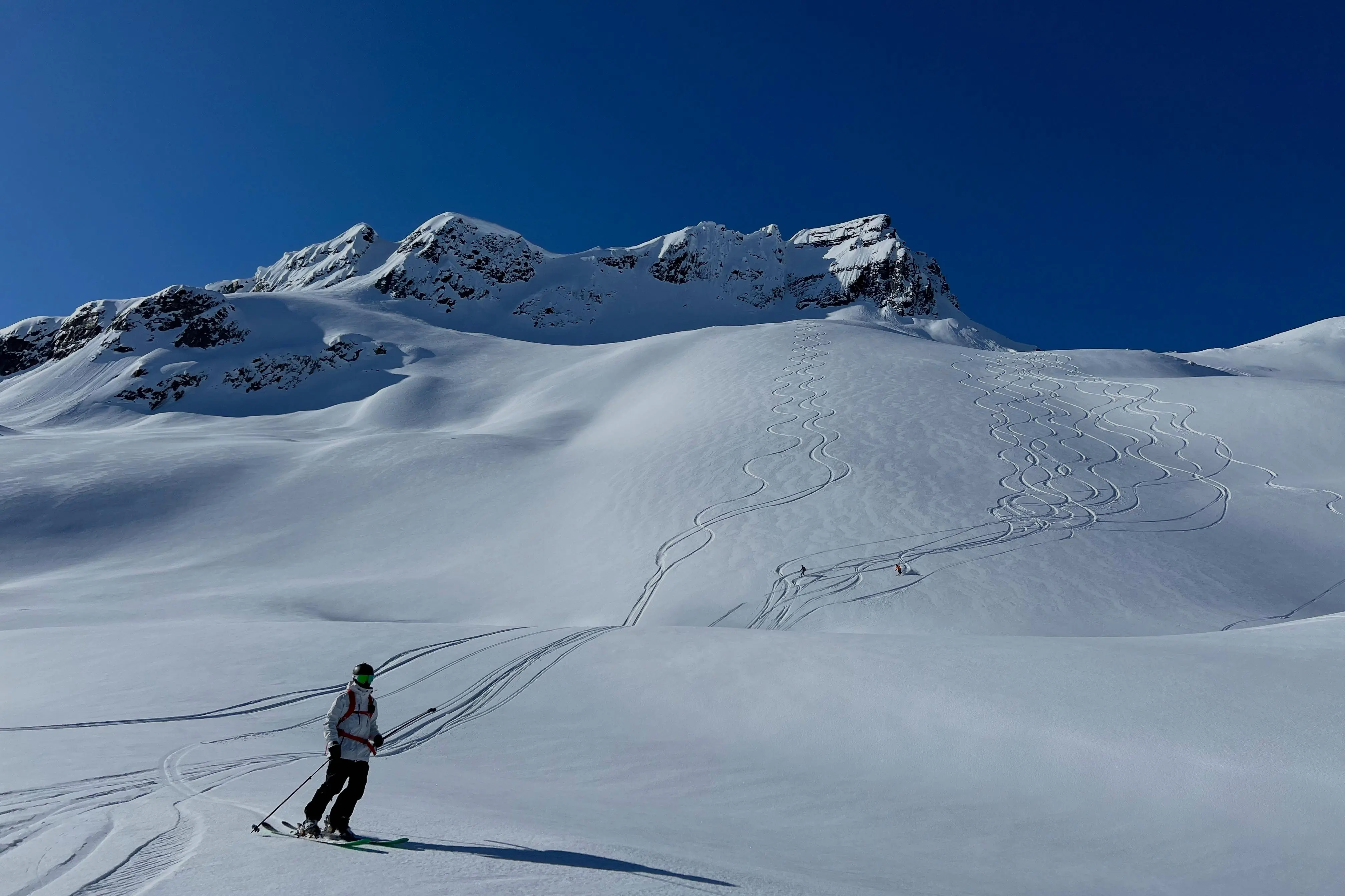 heli ski guide helicopter skiing