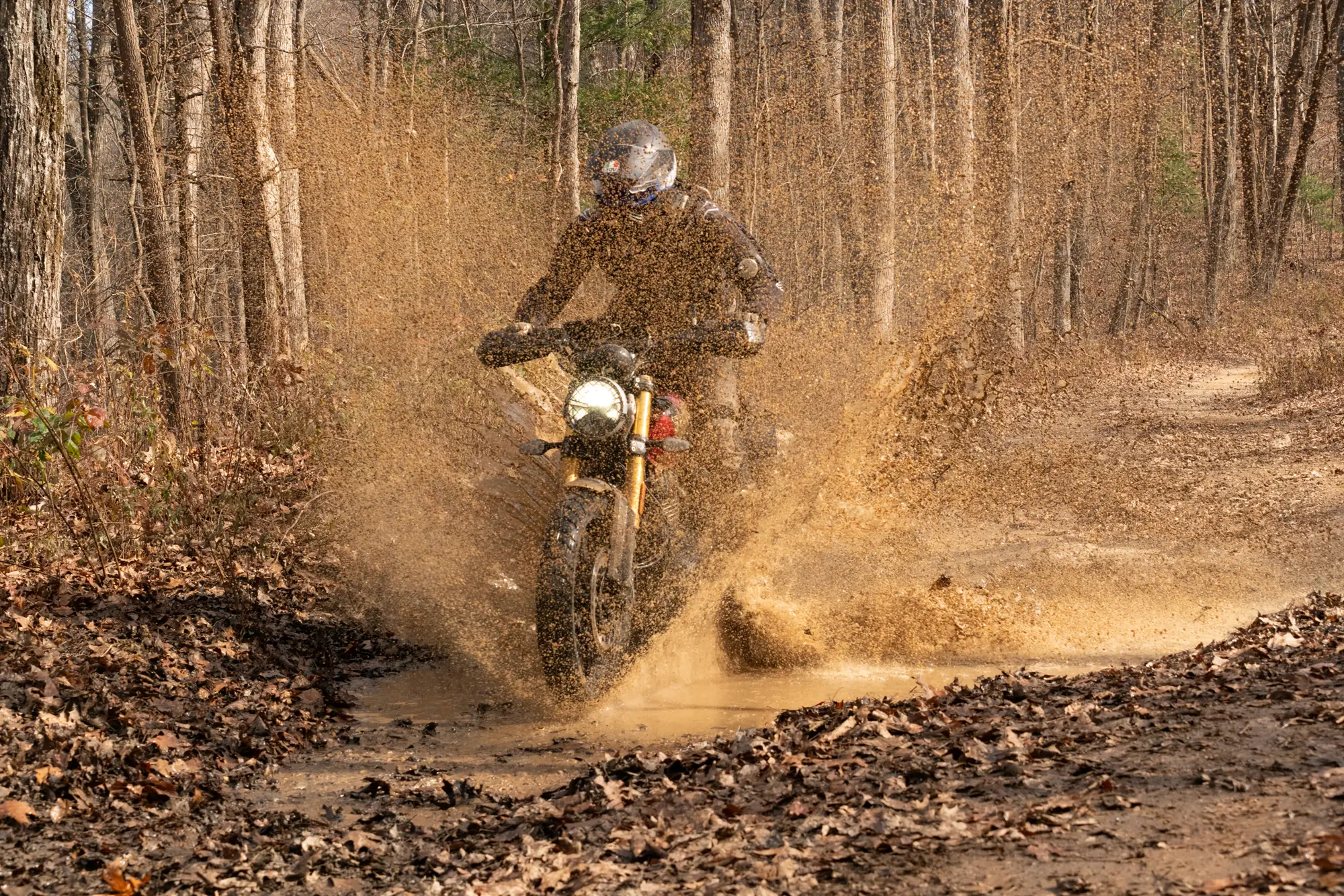 getting dirty with the triumph scrambler 400 x