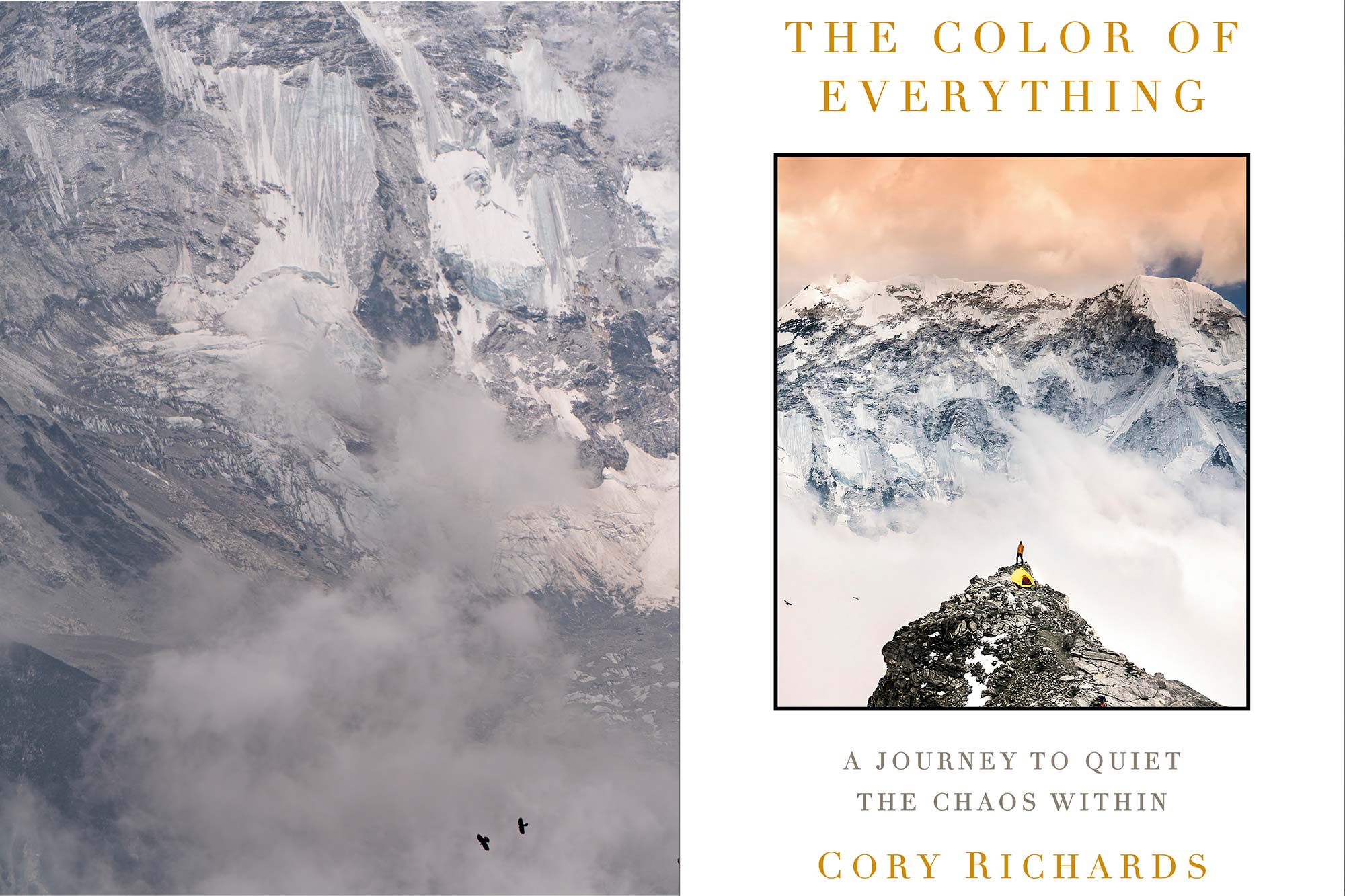 the color of everything cory richards book