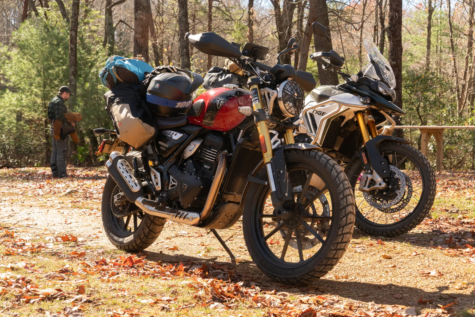 triumph tiger 900 rally pro