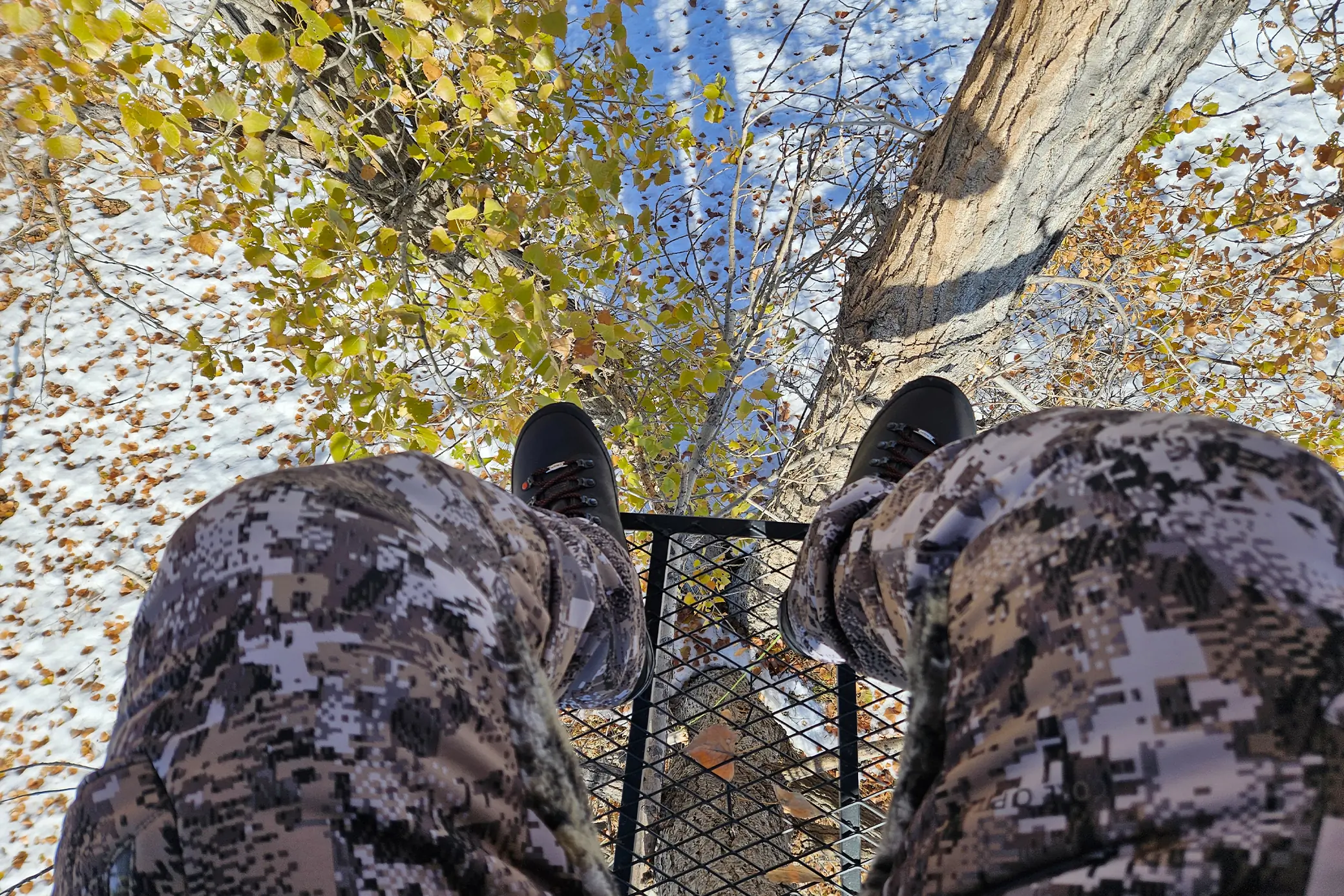 A man in a tree wearing Crispi Wild Rock Plus GTX boots takes a photo from above, showing the boots and the ground below